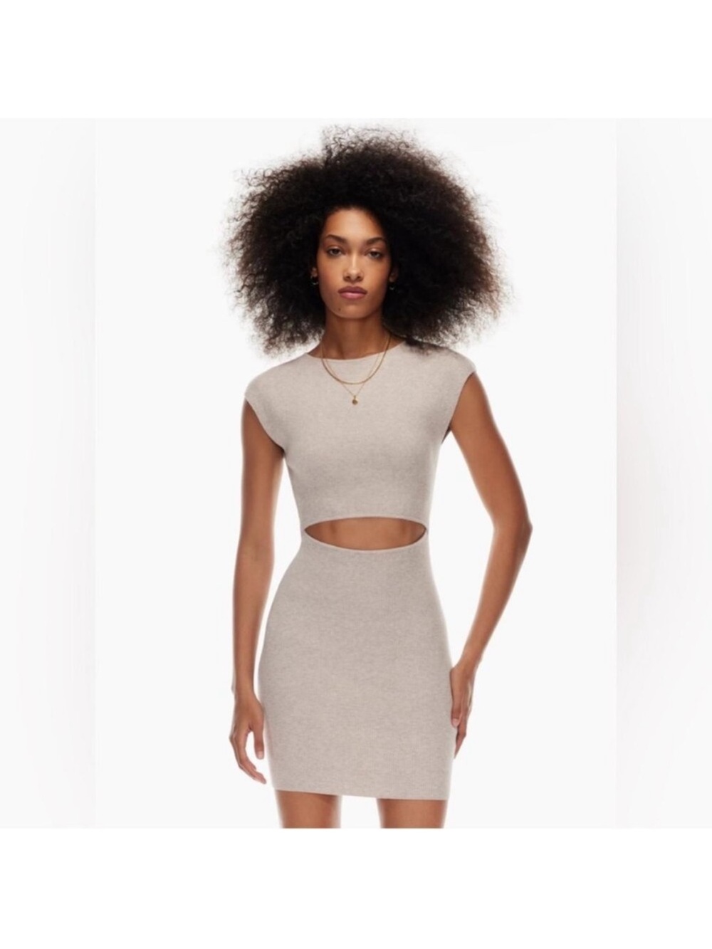 Aritzia Beige Cutout Knit Crop Top